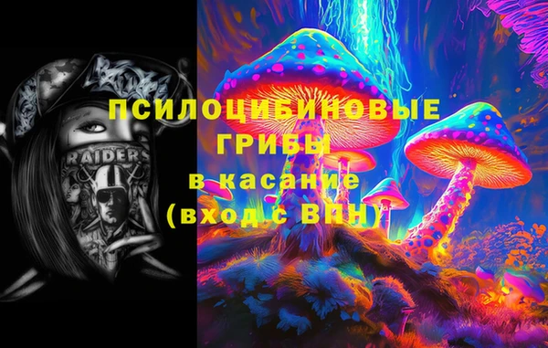 спиды Кинешма